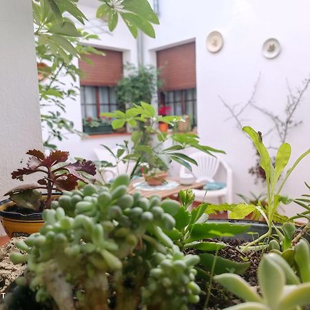 Vyve Grazalema At Hotel ภายนอก รูปภาพ